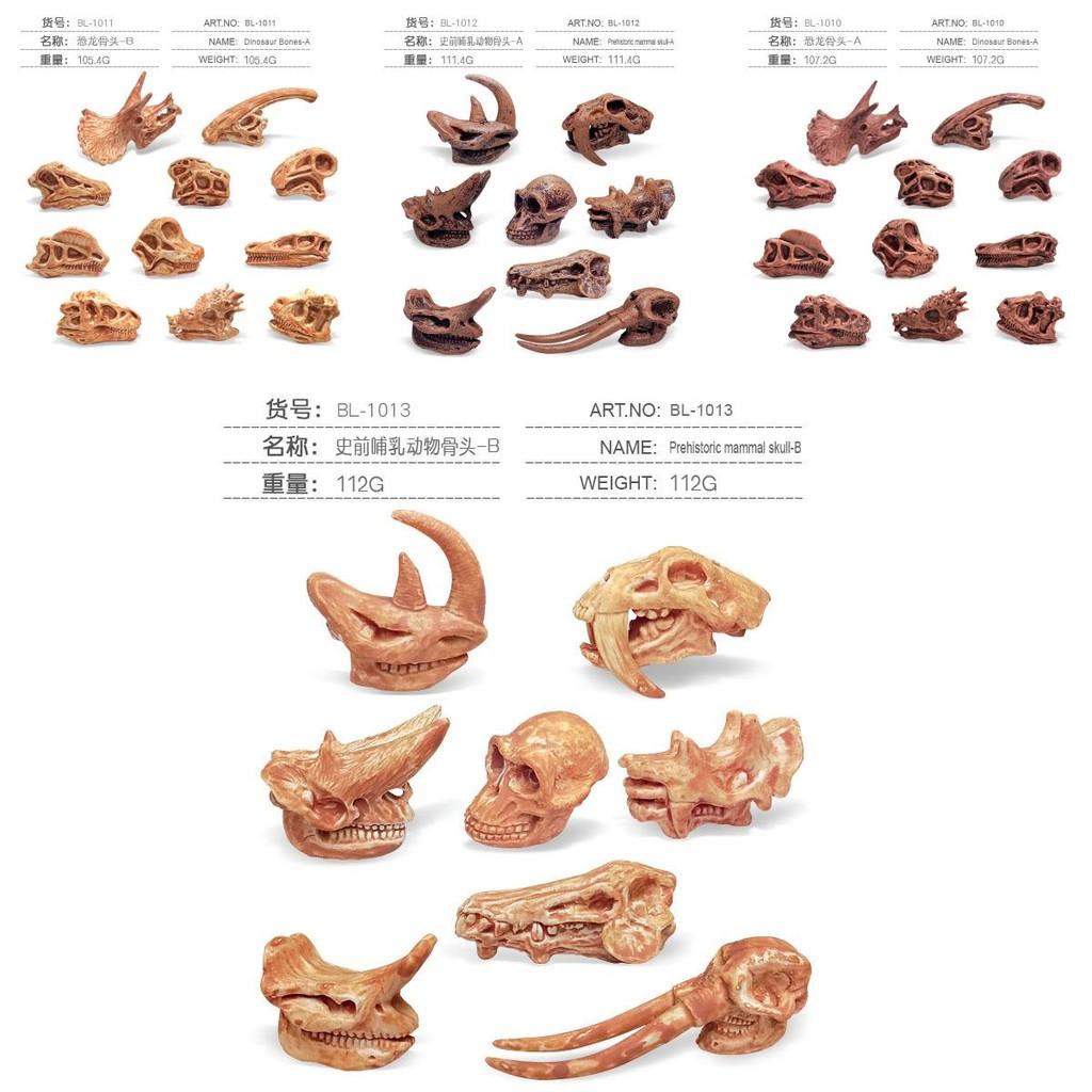 Realistic Jurassic Dinosaur Skull Model Toy For Kids Educational Archaeology Fun