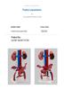 Qinghua Anatomisches Modell des menschlichen Fortpflanzungssystems - Demonstrationsinstrument für Urologie und Harnsystem