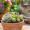 Colorful Frog Ornaments for Potted Plants Garden Stakes, Waterproof Resin Miniature Ornaments, Cute Figurines, Succulents Creative Landscape Figurines