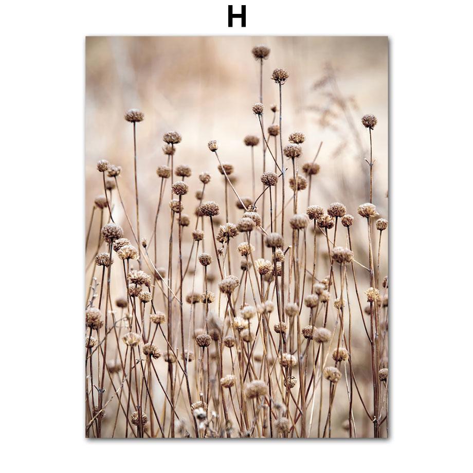 Nordic Reed Beige Plant Tiger Horse Scandinavian Quote Wall Art Canvas Painting Poster And Prints Pictures For Living Room Decor