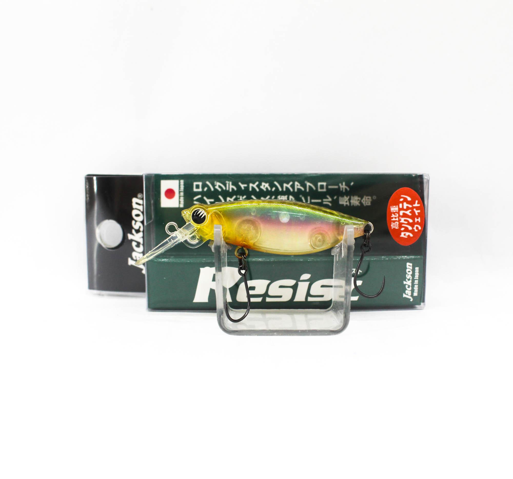 

Jackson Resist 45 Single Hook Floating Lure GDM (4389)