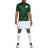 Nike Nigeria 2024 Stadium Away Men's Nike Dri-FIT Soccer Replica Jersey FQ8847-010