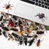 50 Transparent Realistic Insect Decals Butterfly Spider Do-It-Yourself Suitcase Mobile Phone Case Refrigerator Decals