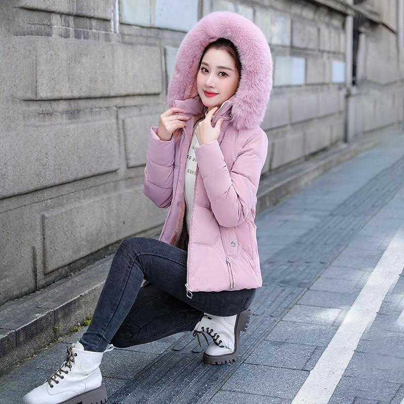 Winter Baumwollgepolsterte Jacke Damen Baumwollgepolsterte Jacke Kurzer Pelzkragen Baumwollgepolsterte Jacke Damen Warme und Kältebeständige Gepolsterte Jacke Jacke
