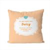 DDeicy Pillow Case For Car Sofa Decorative Home Doublesided Print Plush Square Throw Pillow Cushion Cover