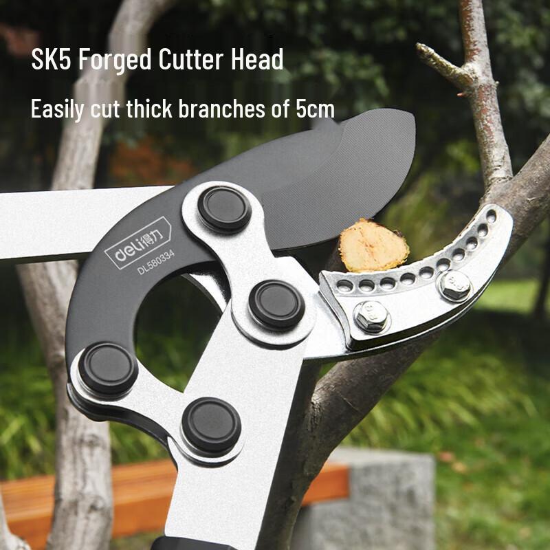Deli Telescopic Garden Pruning Shears