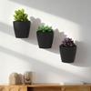 3D Printed Wall Planter, Hanging Indoor Flower Pot for Succulents, Minimalist Black Plant Holder for Home Office