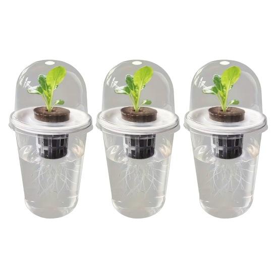 Pflanzenvermehrungsstation Samen Pflanzgefäß Transparenter Becher mit Sämlingen Pflanzenkeimung Starter Hydroponischer Korb Kuppelförmiger Deckel