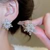 Cold wind super flash zircon snowflake fireworks stud earrings temperament versatile earrings earrings