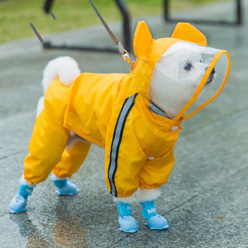 Bichon Frise Dog Raincoat: Full-Coverage, Waterproof, Four-Legged with Tail-Connected Design for Medium and Small Dogs
