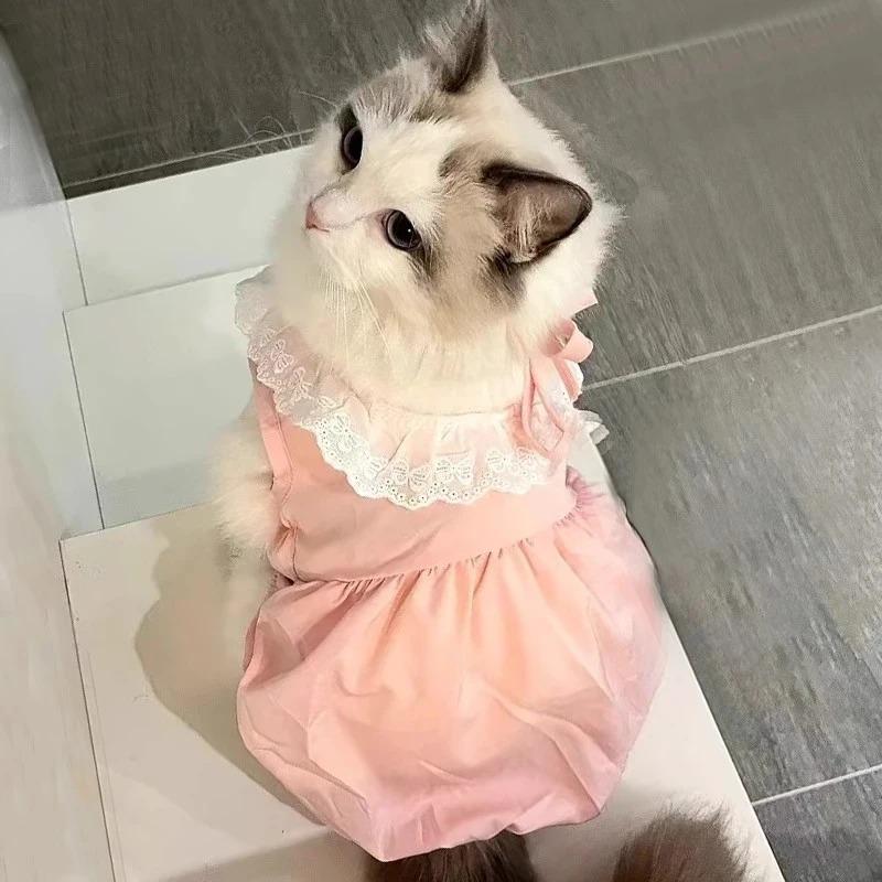 Breathable Anti-Shedding Princess Dress for Kittens and Cats, Ideal for Ragdoll and British Shorthair