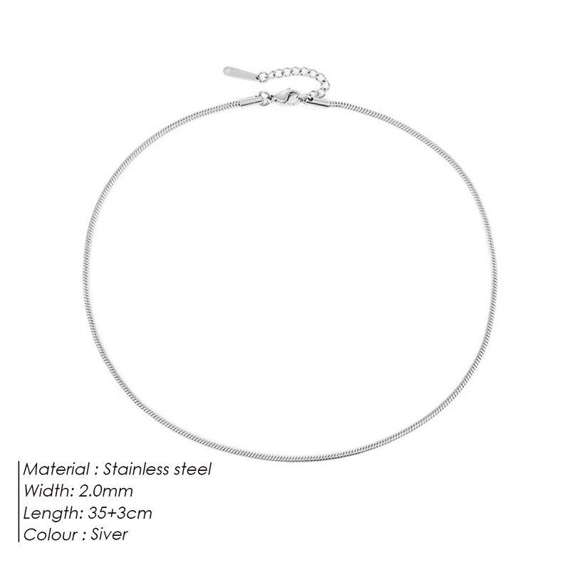 Steel Necklace Round Snake Chain for Women Simple Light Luxury Plain Chain Couple Clavicle Chain European and American Fashion Snake Bone Chain