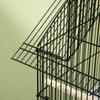 Metal and Plastic Bird Cage with Carrying Handle and Removable Tray, 50.5x41x63 cm, White