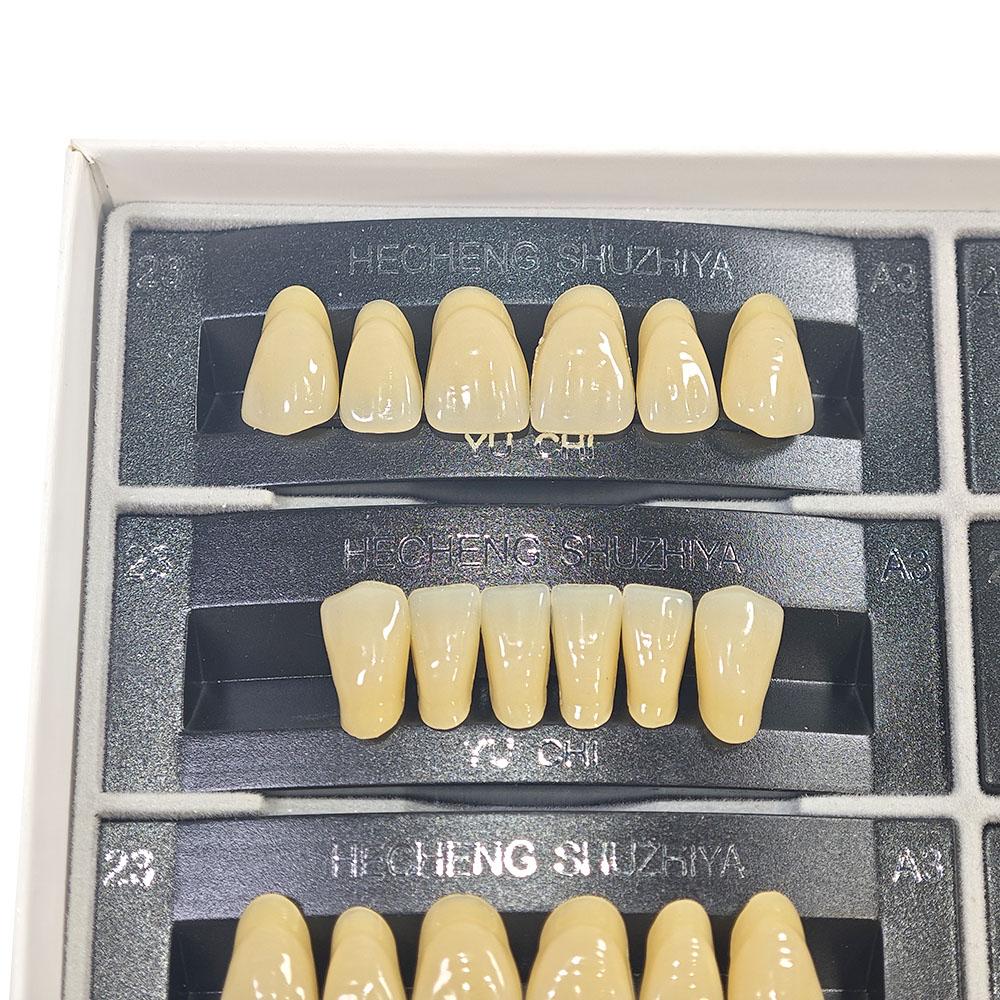 5 Sets/Box Dental Acrylic Resin Teeth 2 Layers Denture 28*1 Full Mouth S/M/L A2 A3 Stability Dentistry Material