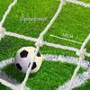 11-a-side Soccer Goal Net Pair