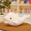 PP Cotton Simulation Dolphin Plush Toy Fluffy Plush Stuffed Whale Toys  Kids Gifts