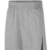Nike Kids Logo Print Casual Training Sports Shorts Kids Shorts Gray 875102-063