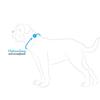 Hunter Berio Dog Leash London Red Plus L