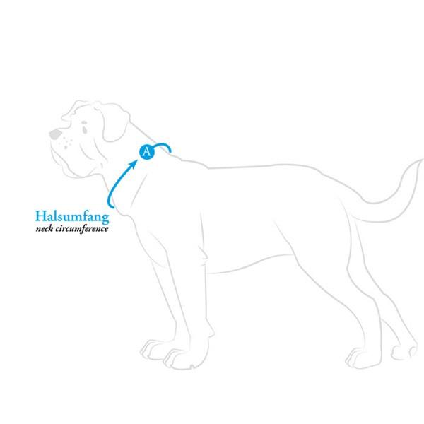 Hunter Berio Dog Leash London Red Plus L