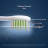 Philips HX2461 Sonic Electric Toothbrush CN Plug (adapter Included)