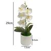 5 Potted Artificial Phalaenopsis Orchids for Decorative Application Residential Commercial and Creative Production Spaces