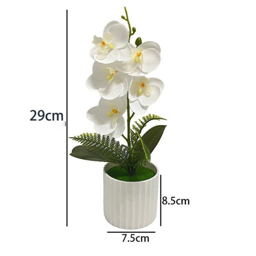 5 Potted Artificial Phalaenopsis Orchids for Decorative Application Residential Commercial and Creative Production Spaces
