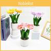 Multicolor Simulation Corn Poppy Potted Artificial Flower Desktop Ornament