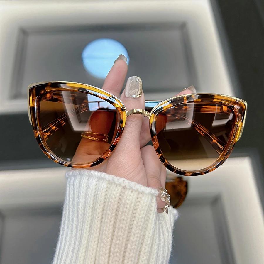 Vintage Cat Eye Sunglasses Women Men Fashion Retro Sun Glasses Female Male Designer Shades Mirror Outdoor Punk