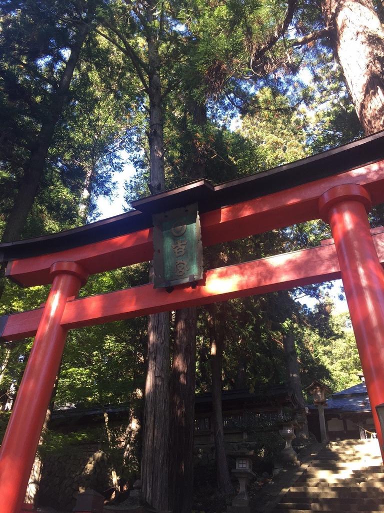 [Kumihida] 2020-versjon (tynn 2 farger) Rosa. Hida Takayama flettet snor merke. Håndlaget av Hida-håndverkere.