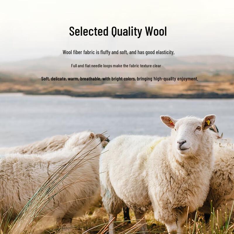 U.S. POLO ASSN. Men's Wool Blend Crew Neck Knit Sweater