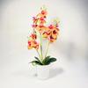 Phalaenopsis Potted Plant Ornament For Office Desk And Living Room Decor