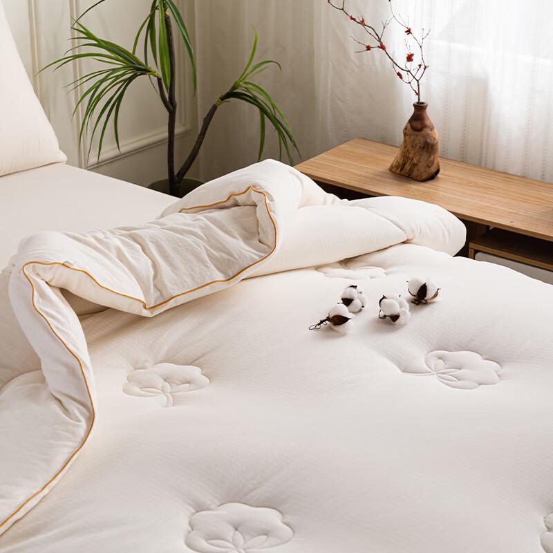 Dohxija Soft Xinjiang Cotton All-Season Quilt