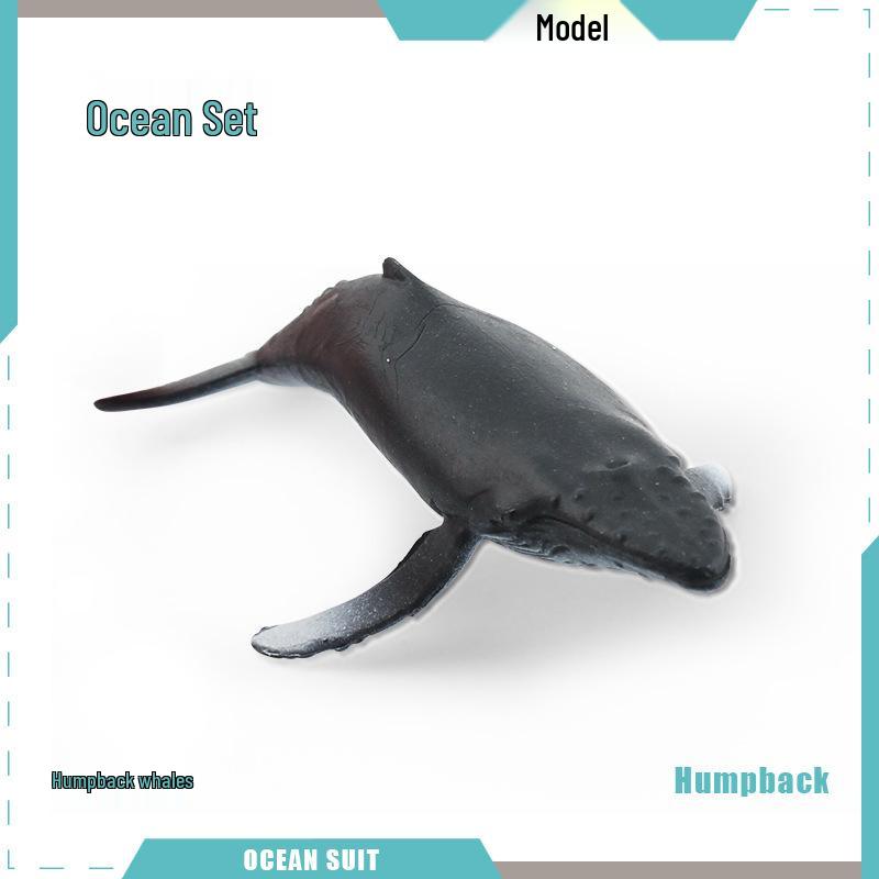 Children's Marine Animal Model Set: Mini Whale, Shark, Dolphin, Turtle, Sea Lion