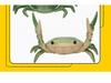 Ahnitol Japanese Design Weightlifting Crab Pen Holder and Storage Stand