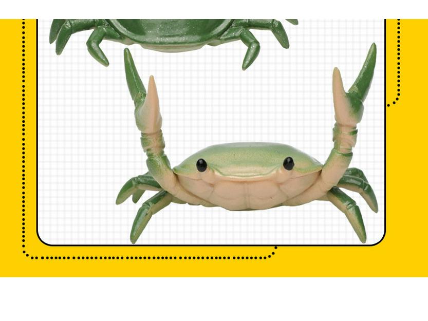 Ahnitol Japanese Design Weightlifting Crab Pen Holder and Storage Stand