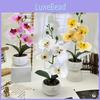Butterfly Orchid 3d Print Faux Flower Desk Decor For Home Office And Wedding