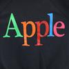Hanes 90s Apple Old Company Long sleeve trainer Men's Used