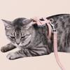 Pet Traction Rope Stylish Soft Cotton Bowknot I-shaped Pet Harness Set