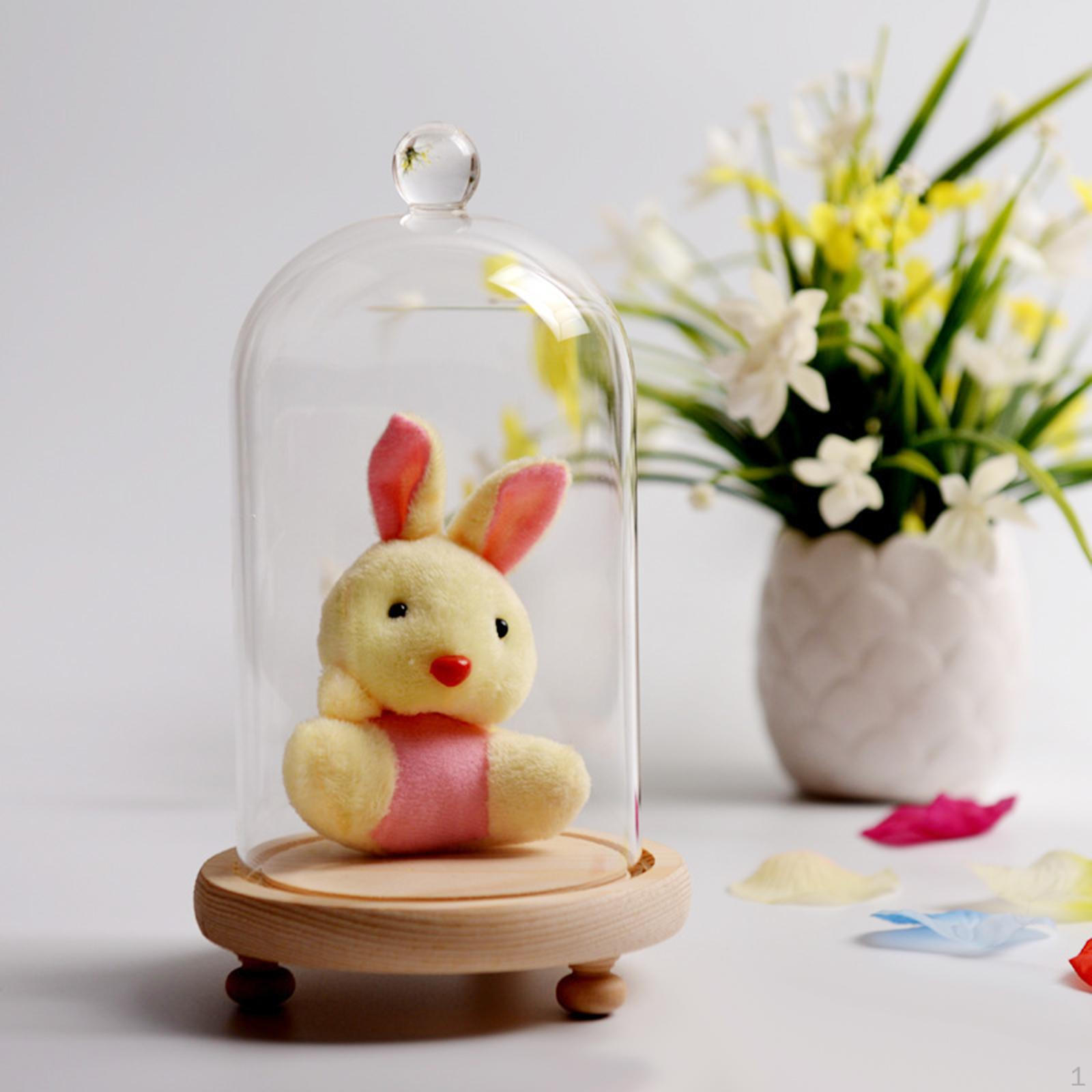 

Прозрачная стеклянная крышка колокола, подставка для дисплея, прозрачная деревянная основа для поделок из цветов своими руками