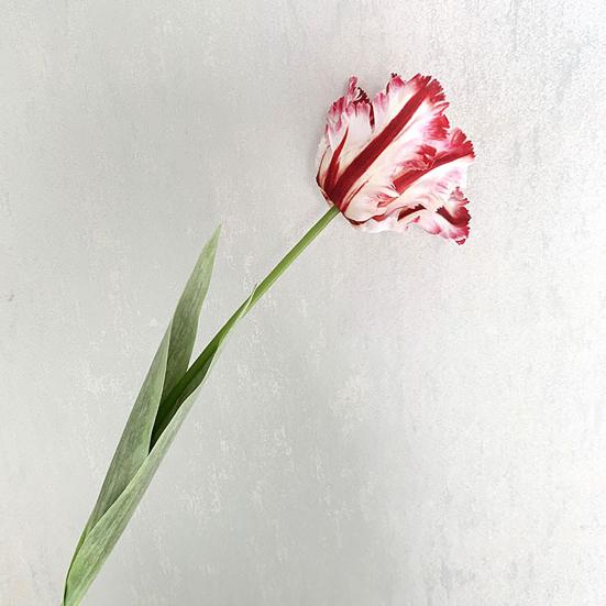 Kunstig tulipan realistisk falsk blomst med blader ingen vedlikehold falsk tulipan for hjemmedekor bryllupsfest bordpynt