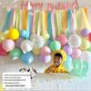 Baby's First Birthday Macaron Tassel Balloon Backdrop