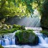 3D Forest Wallpaper Waterfall Scenery Wall Mural Living Room TV Sofa Bedroom Woods Wallpapers