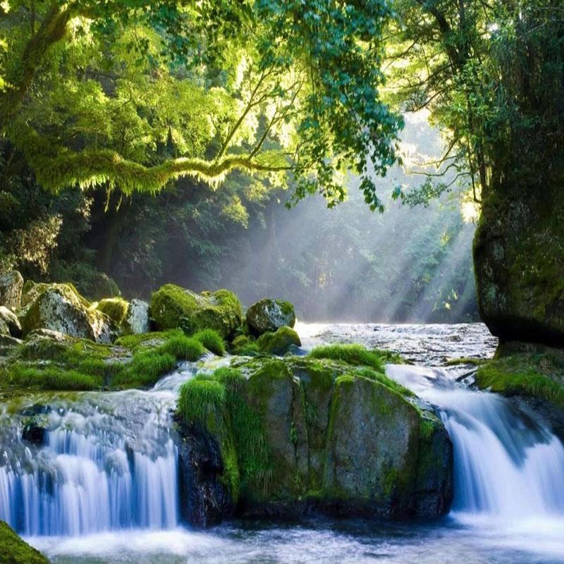 3D Forest Wallpaper Waterfall Scenery Wall Mural Living Room TV Sofa Bedroom Woods Wallpapers