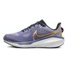 Nike נעלי סניקרס לנשים Vomero 17 כחול מעומעם זהב אפור צפחה לבן זהב מטלי FB8502-400