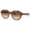 Ray Ban Gina Clear Gradient Brown Square Unisex Sunglasses Rb4399 141451 53
