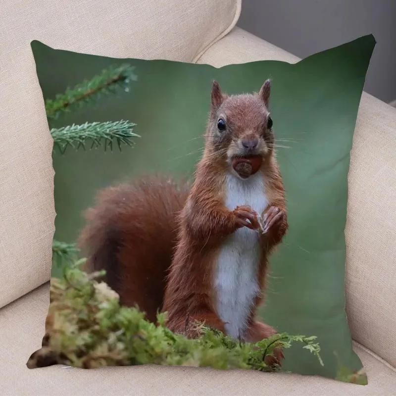 Cute Squirrel Cushion Cover Pillowcase Pillow Covers Home Decor Pet Animal Pillows Case Super Soft Polyester Pillows Covers