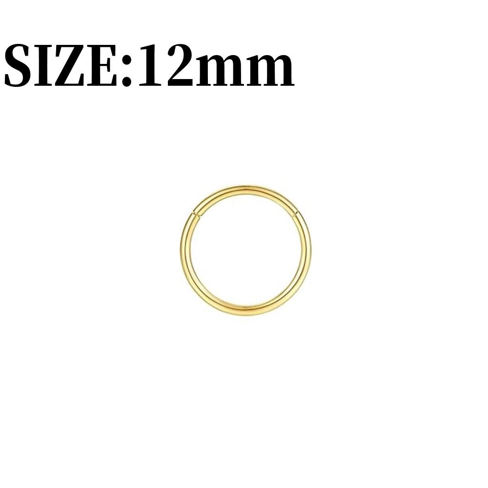 316L Surgical Stainless Steel Nose Hoops Hinged Clicker Septum Rings for Nose Cartilage Body Piercing Jewelry