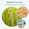 ZISIZ Rice Husk Disposable Tableware Set