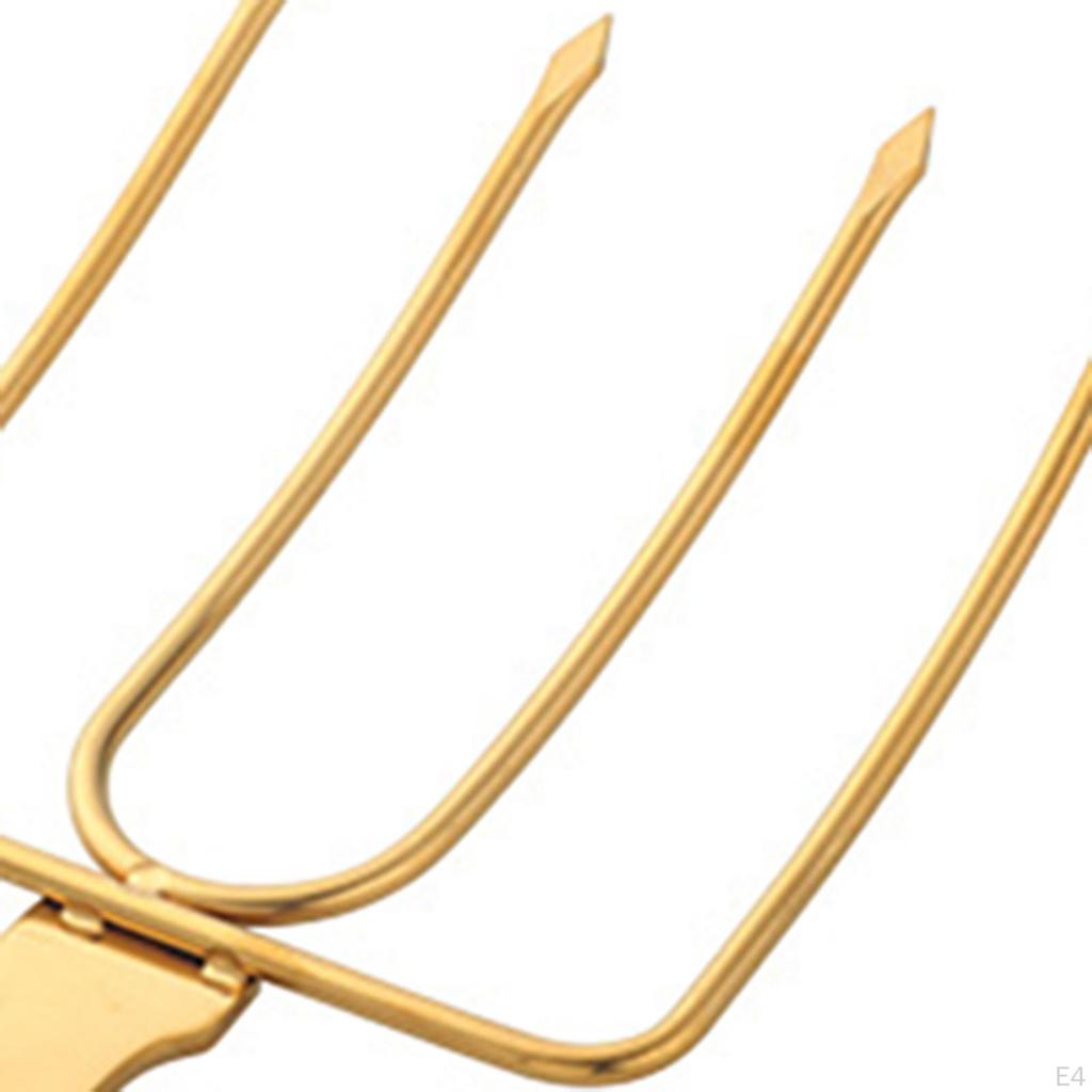 Stainless Steel Turkey Fork, Steak Grill Fork Space Saving Professional,Poultry Lifter