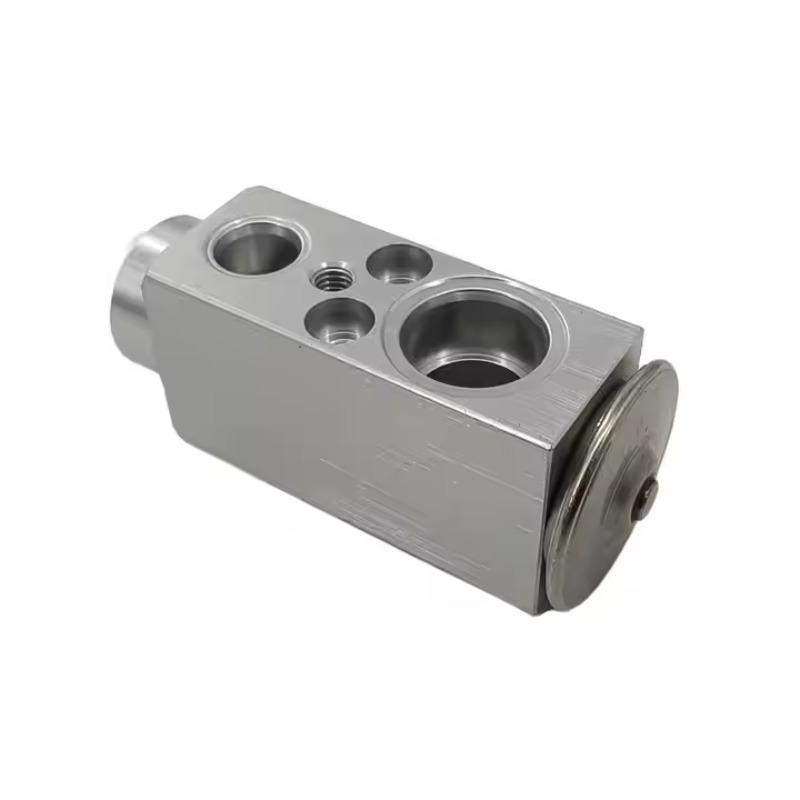 2308300184 4638306601 AC Evaporator Expansion Valve For Mercedes Benz W203 W204 W209 W211 W212 W207 X204 W220 W221 W463 R230